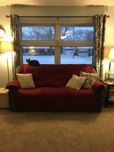 Customer photo review of Reversible Quilted Sofa Protector