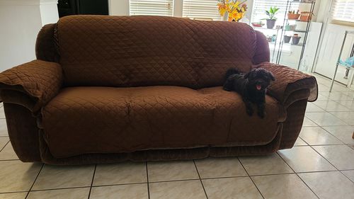 Customer photo review of Reversible Quilted Sofa Protector