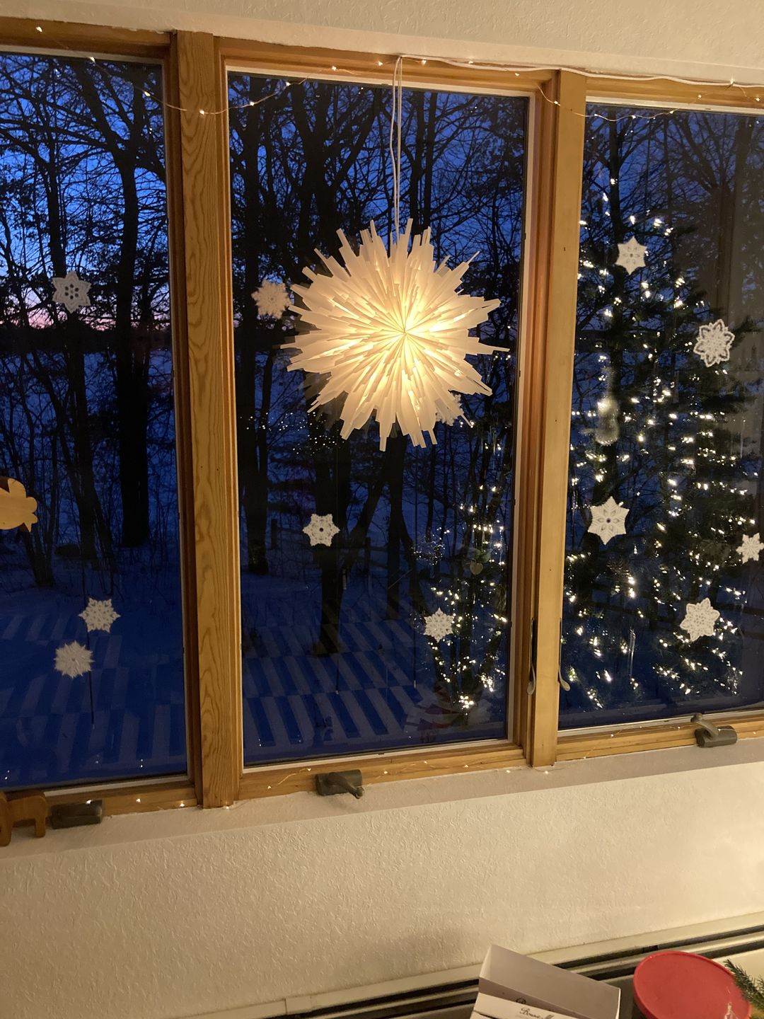 Customer photo review of Star Lantern White Mini Socket Pendant Light Lamp Cord, E12 Base, Switch, 11 Ft - Electrical Swag Light Kit