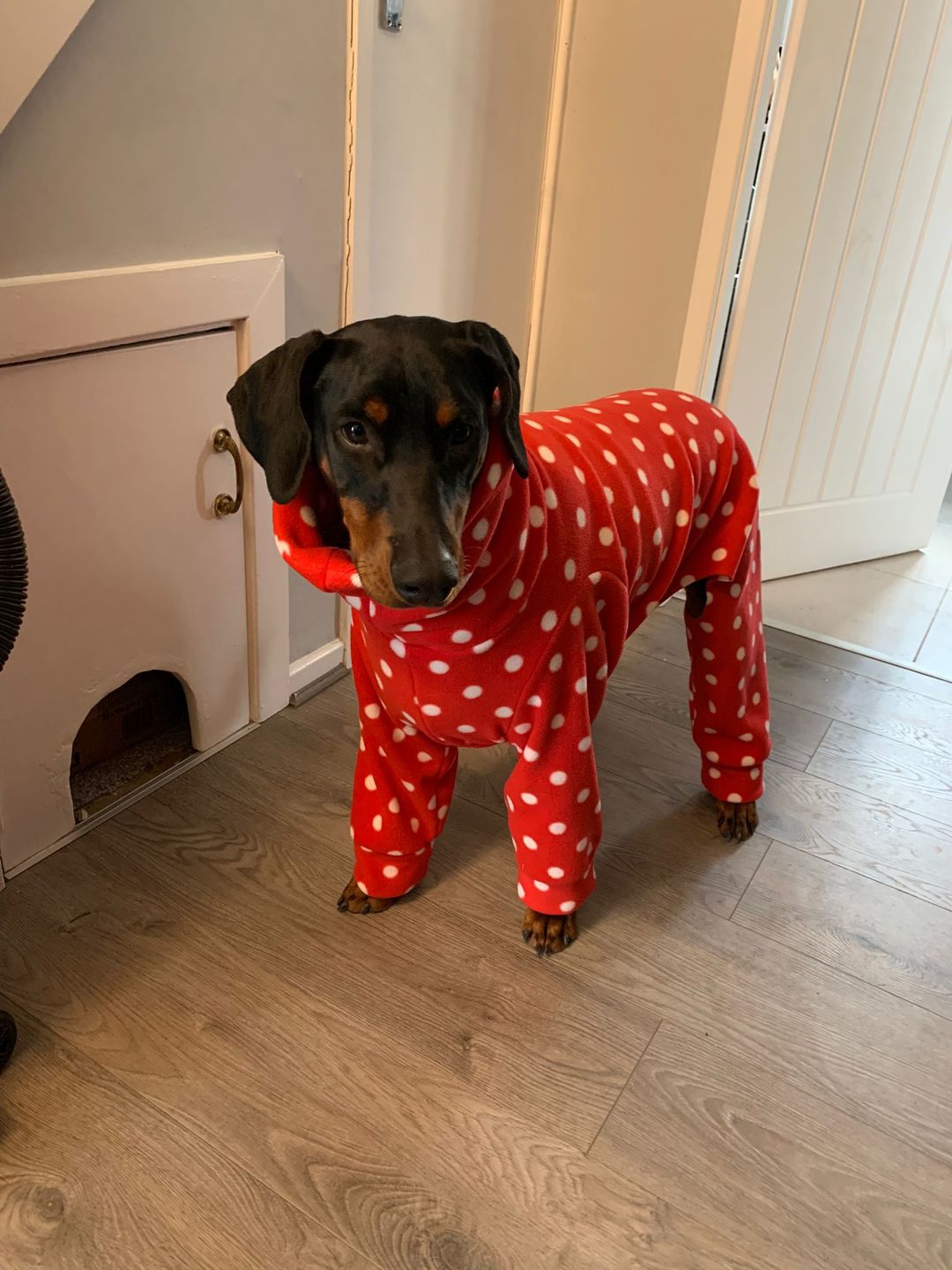 Customer photo review of White Polka Dot Anti Pill Polar Fleece Fabric