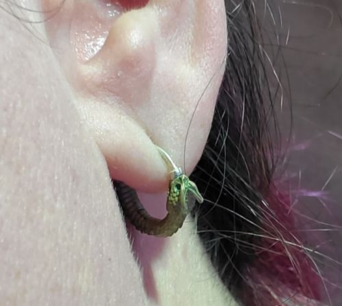 Customer photo review of Ouroboros Earrings