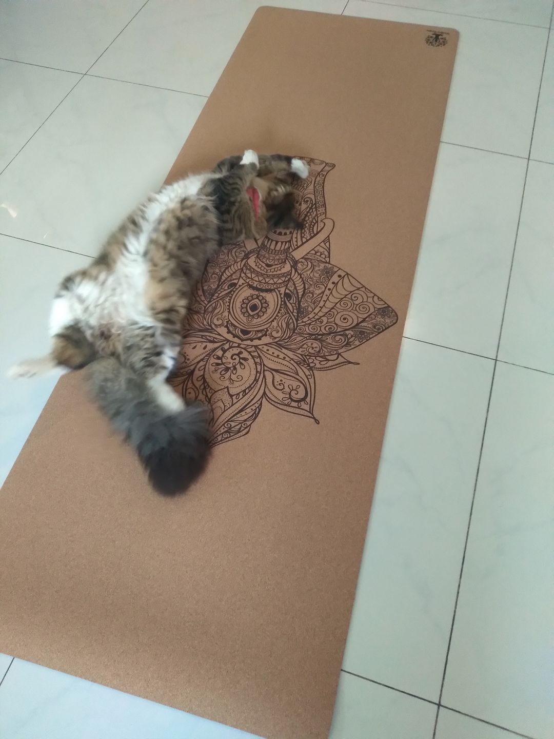 Customer photo review of Elephant Yoga Mat
