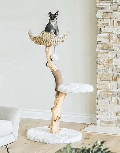 Customer photo review of Michu Selected Real Wood Cat Tree, Medium