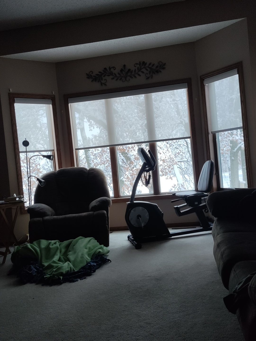 Customer photo review of SmartWings Motorized Light Filtering Roller Shades 50% Blackout Sheer Sunscreen