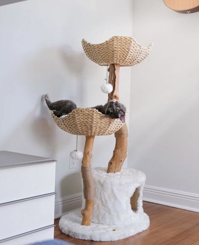 Customer photo review of Michu Selected Real Wood Cat Tree, Large