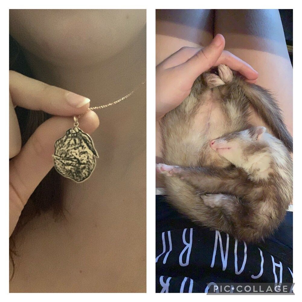 Customer photo review of Personalized Silver Cat Necklace (925 Sterling Silver)