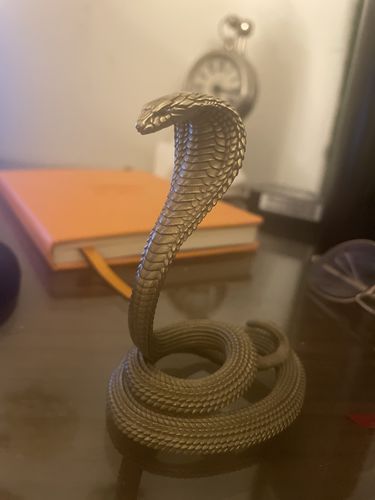 Customer photo review of Cobra Phone Stand