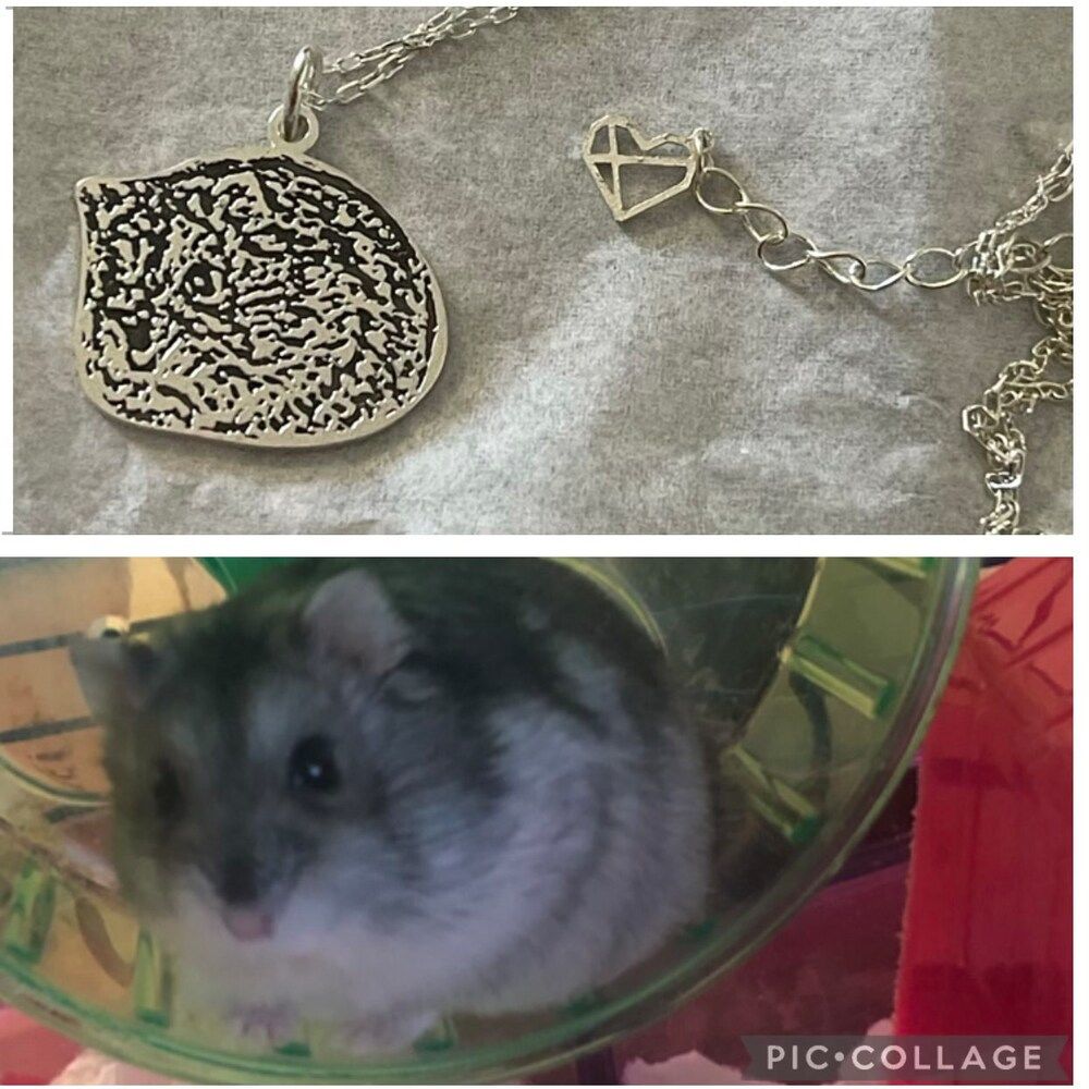 Customer photo review of Personalized Silver Cat Necklace (925 Sterling Silver)