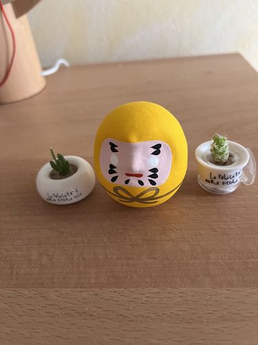 Customer photo review of Shirakawa Daruma YELLOW S