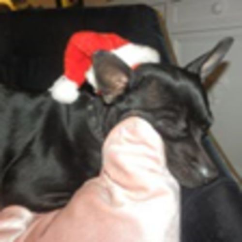 Customer photo review of Forever Young