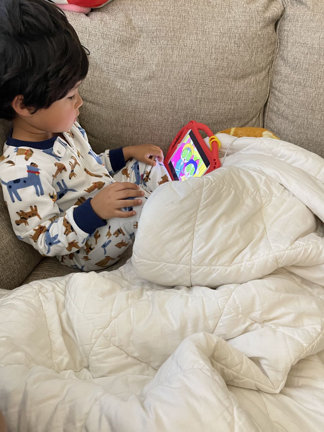 Customer photo review of Wool Comforter