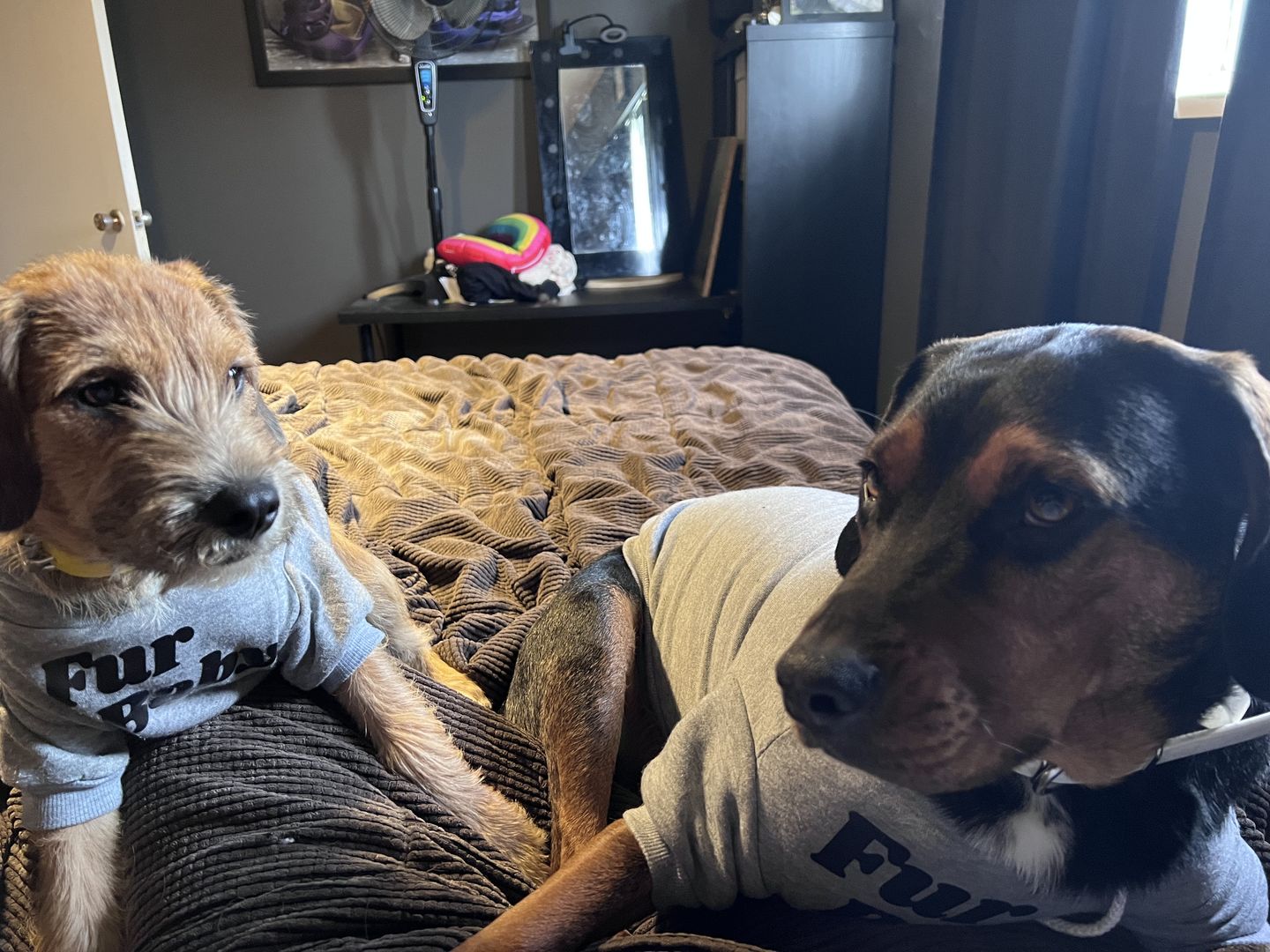 Customer photo review of "Fur Baby" Dog Hoodie