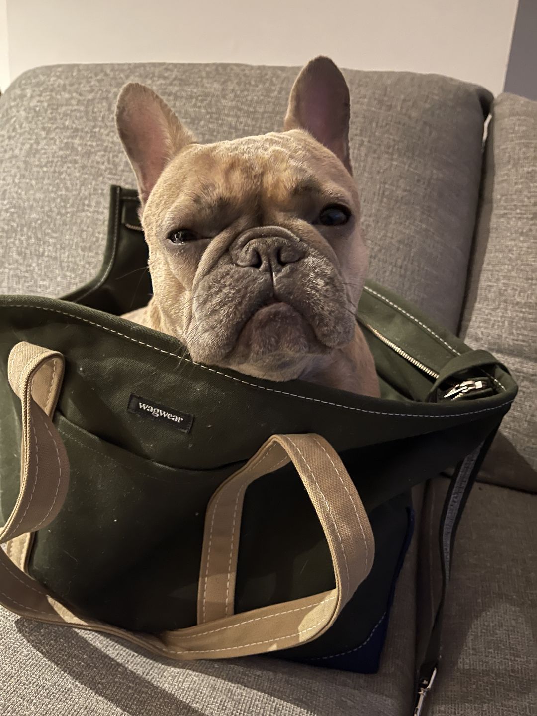 Customer photo review of Tri-Color Boat Canvas Carrier