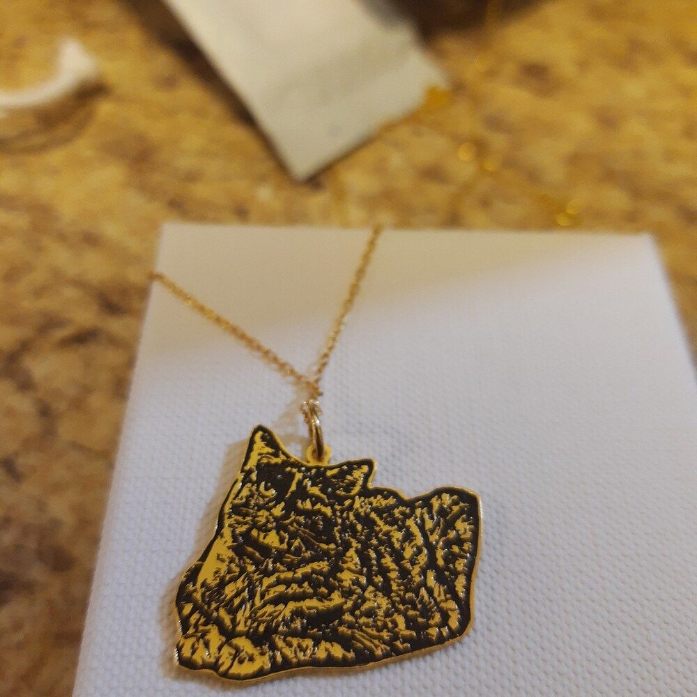 Customer photo review of Personalized Silver Cat Necklace (925 Sterling Silver)