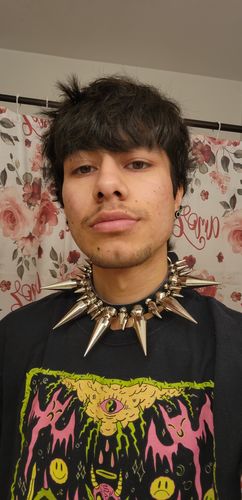Customer photo review of Heavy Metal OG Collar
