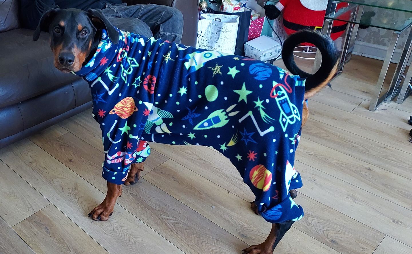 Customer photo review of Rockets in Outer Space Anti Pill Polar Fleece Fabric