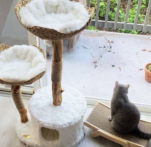 Customer photo review of Michu Selected Real Wood Cat Tree, Large