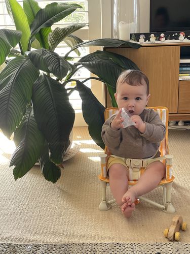 Customer photo review of Brighton baby chair