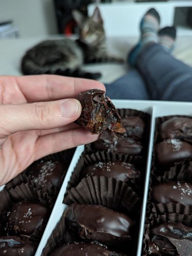 Customer photo review of Two Bite | Salted Caramel Palm Bites