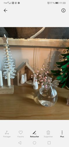 Customer photo review of Mon grand ange gardien