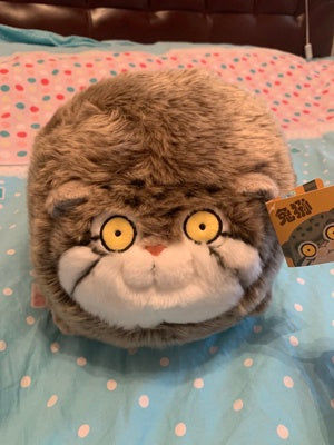 Customer photo review of Chubby Pallas's Cat Stuffed Animal Plush