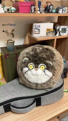 Customer photo review of Chubby Pallas's Cat Stuffed Animal Plush
