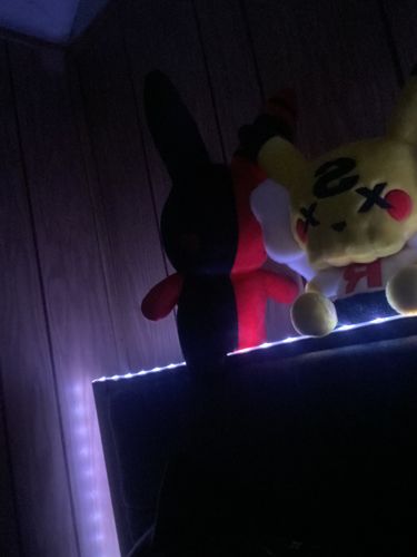 Customer photo review of Rabbit Plushie 18" (RED/BLACK)