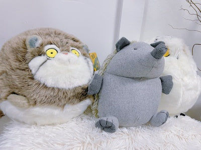 Customer photo review of Chubby Pallas's Cat Stuffed Animal Plush