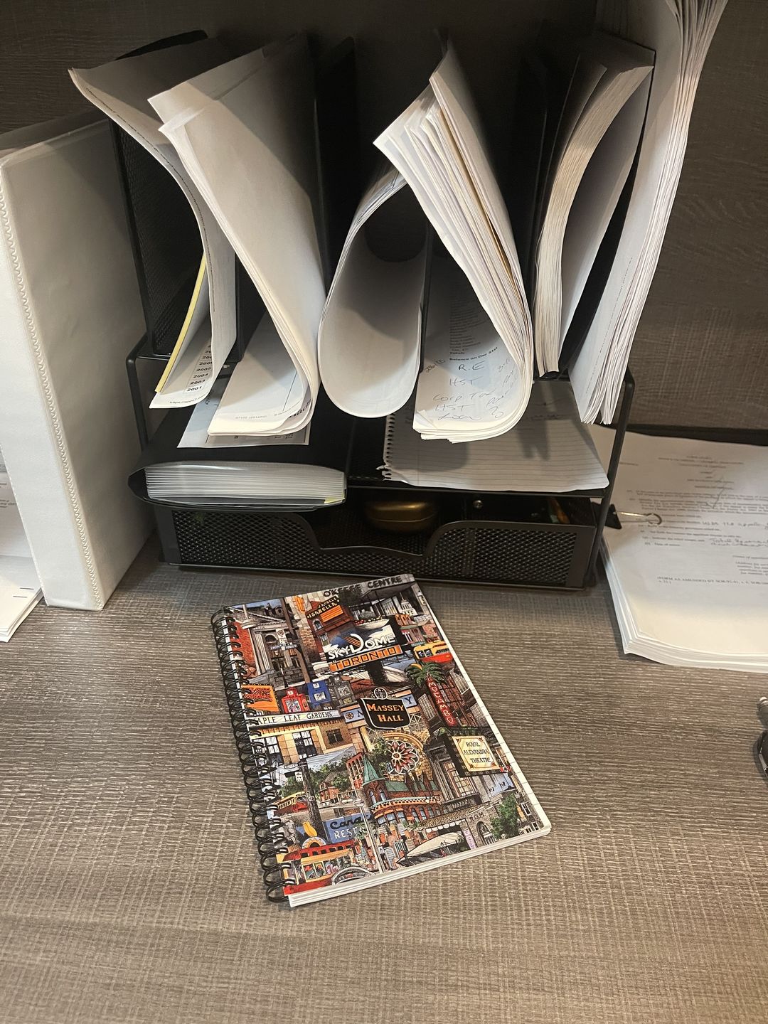 Customer photo review of My Toronto Notebook