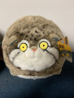 Customer photo review of Chubby Pallas's Cat Stuffed Animal Plush