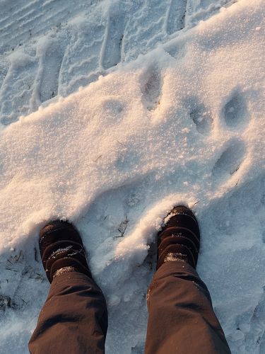 Customer photo review of Winter Pro 2.0 - wasserfeste Barfußschuhe