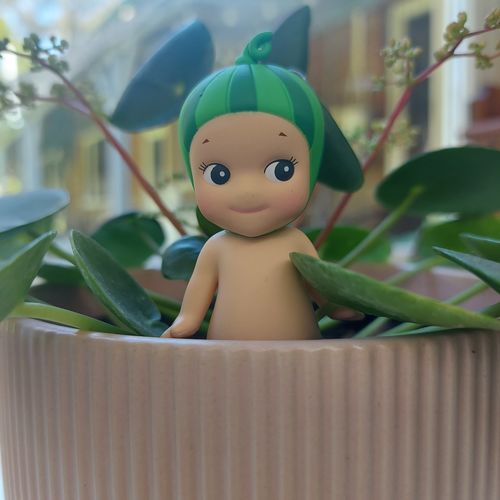 Customer photo review of Sonny Angel - fruit V1