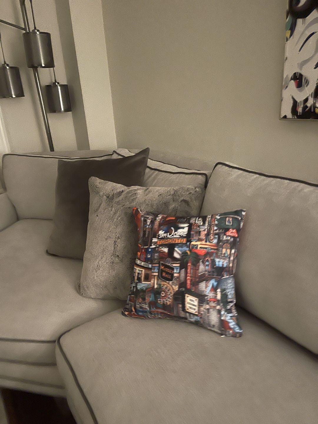 Customer photo review of My City, Toronto Throw Pillows