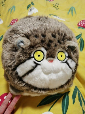Customer photo review of Chubby Pallas's Cat Stuffed Animal Plush