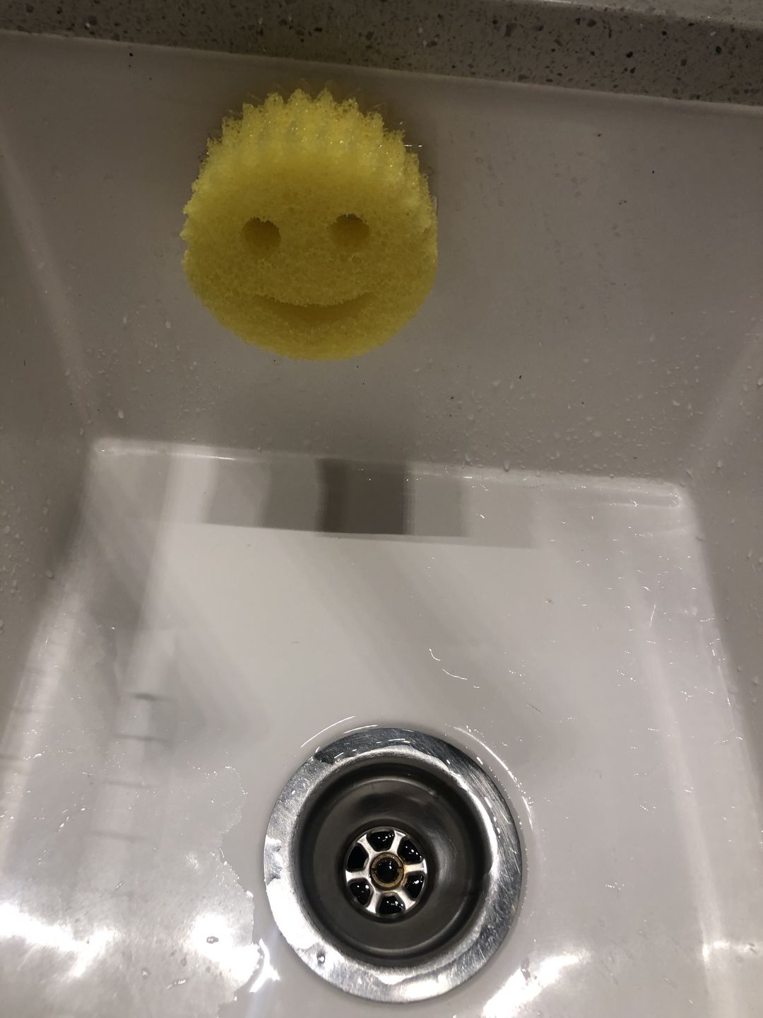 Customer photo review of Scrub Daddy Caddy