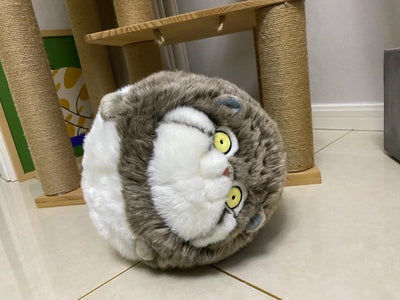 Customer photo review of Chubby Pallas's Cat Stuffed Animal Plush