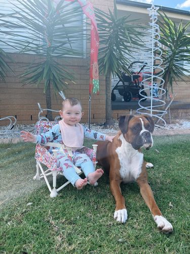 Customer photo review of Paloma baby chair