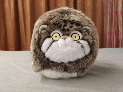 Customer photo review of Chubby Pallas's Cat Stuffed Animal Plush