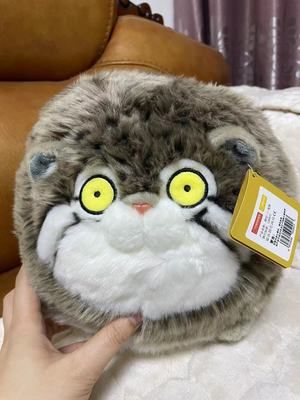 Customer photo review of Chubby Pallas's Cat Stuffed Animal Plush