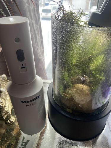 Customer photo of The Original Mossify mistr™ from Nathalie B.