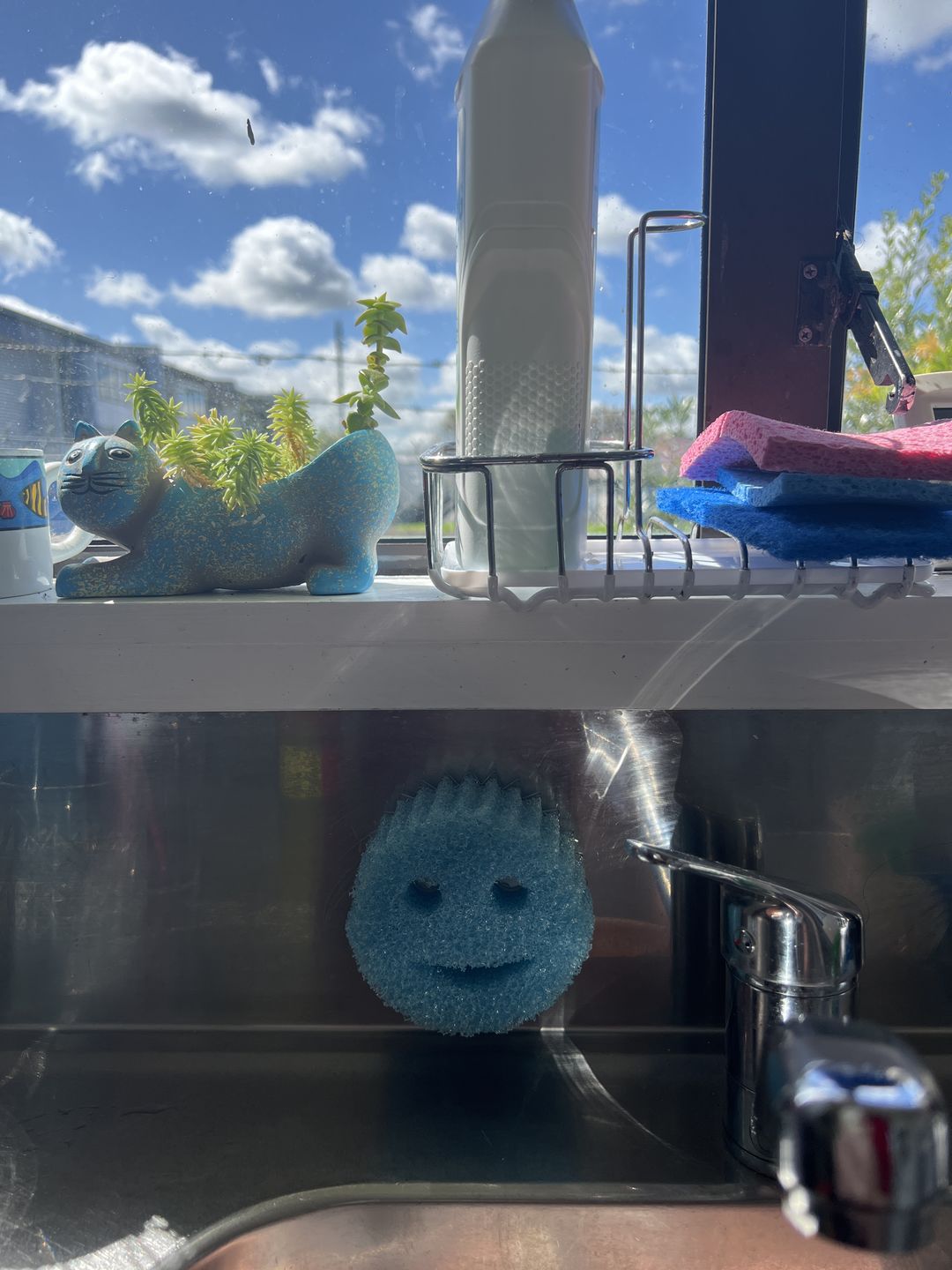 Customer photo review of Scrub Daddy Caddy