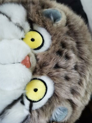 Customer photo review of Chubby Pallas's Cat Stuffed Animal Plush