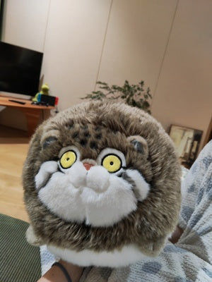 Customer photo review of Chubby Pallas's Cat Stuffed Animal Plush