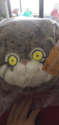 Customer photo review of Chubby Pallas's Cat Stuffed Animal Plush