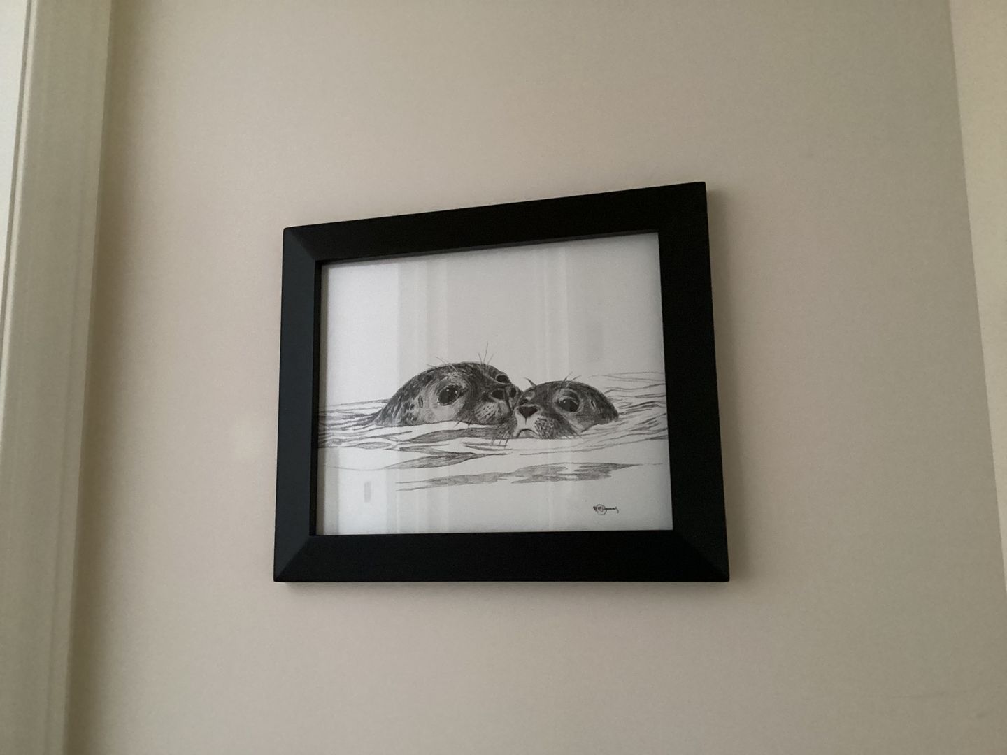 Customer photo review of Seal with cub - illustration