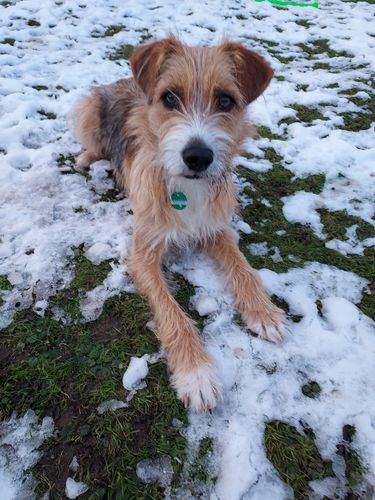 Customer photo review of Lucky Belly