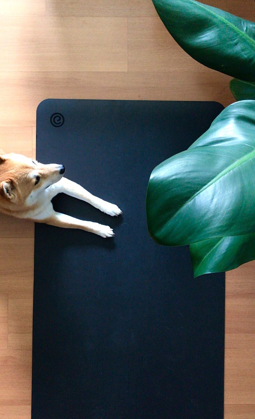 Customer photo review of Yogamat Black Mat Pro ® (Large)
