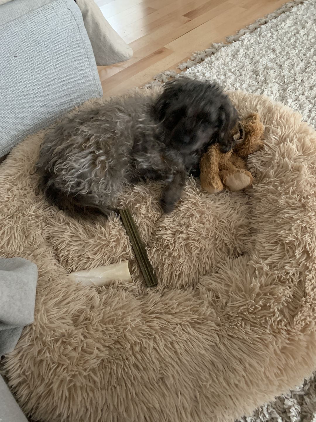 Customer photo review of THE ORIGINAL - Donut hundeseng (beige)