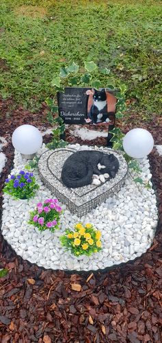 Customer photo review of Katzen Gedenktafel mit Foto & Spruch