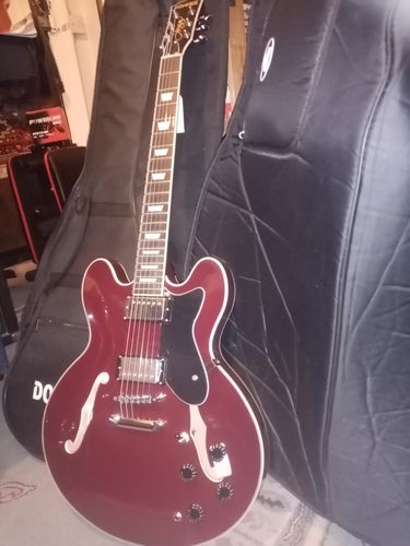 Customer photo review of Donner DJP-1000 39 inch JAZZ LP Electric Guitar